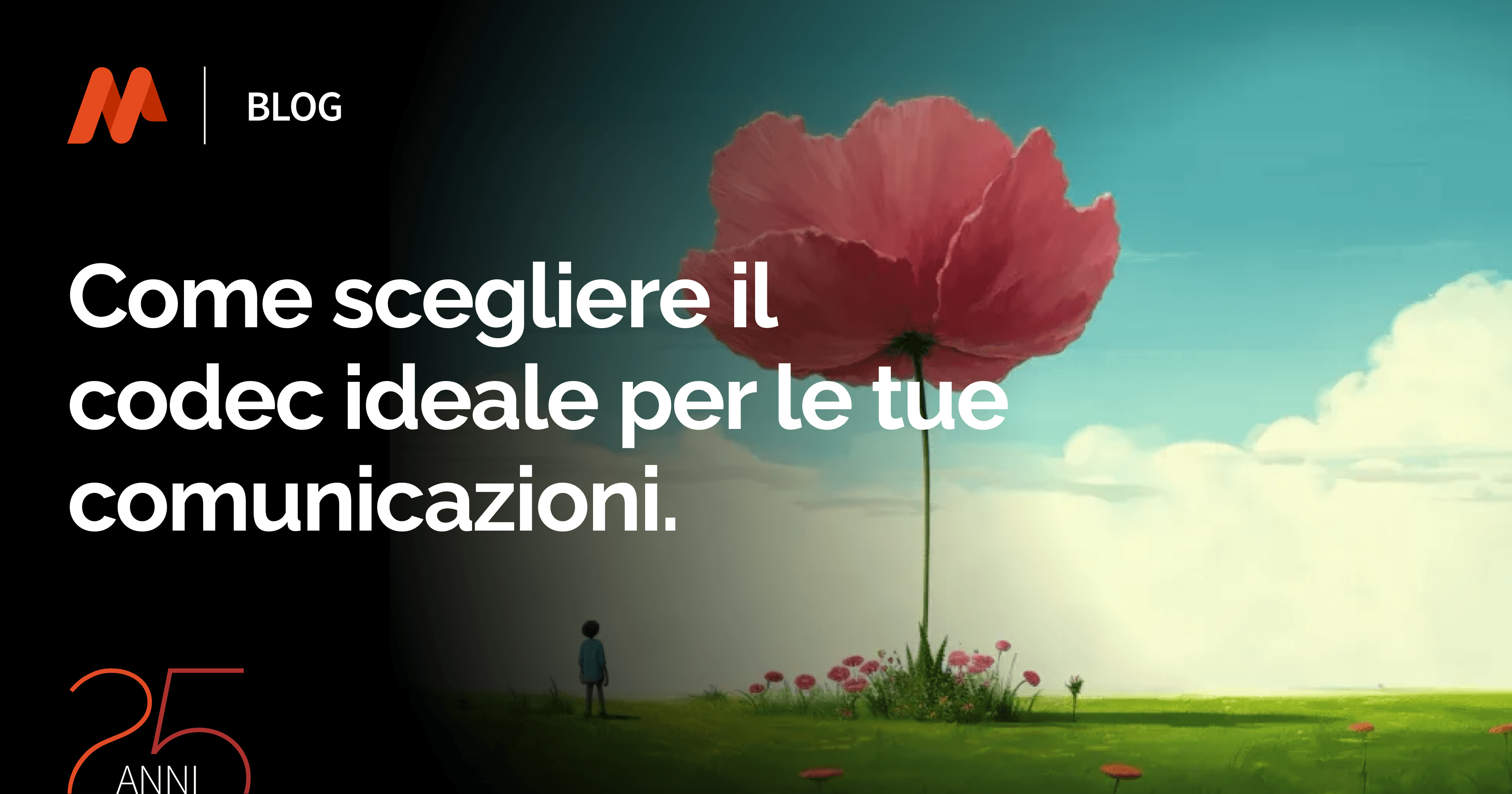 Guida alla scelta del Codec VoIP